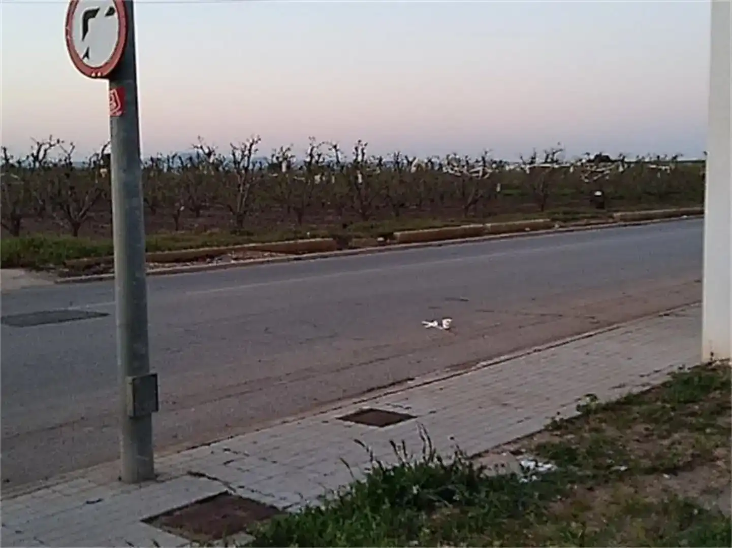 Exterior view of Land for sale in Benimodo