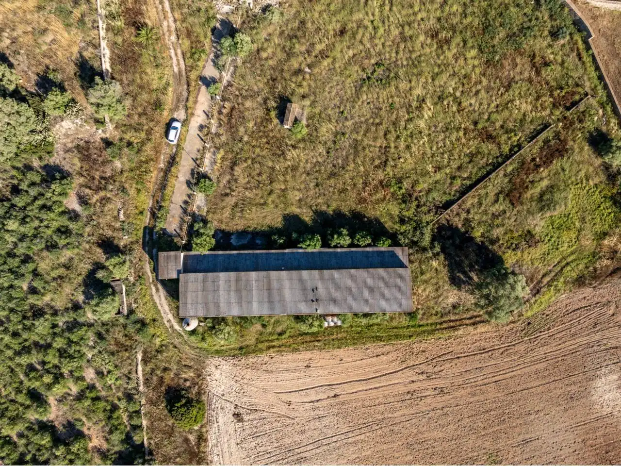 Terreno rustico in vendita a Llucmajor pueblo, imagen 90