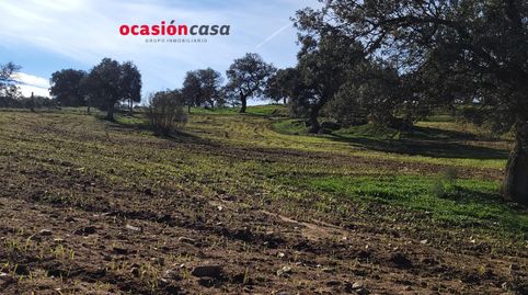 FINCA RÚSTICA EN PEDROCHE, imagen 3