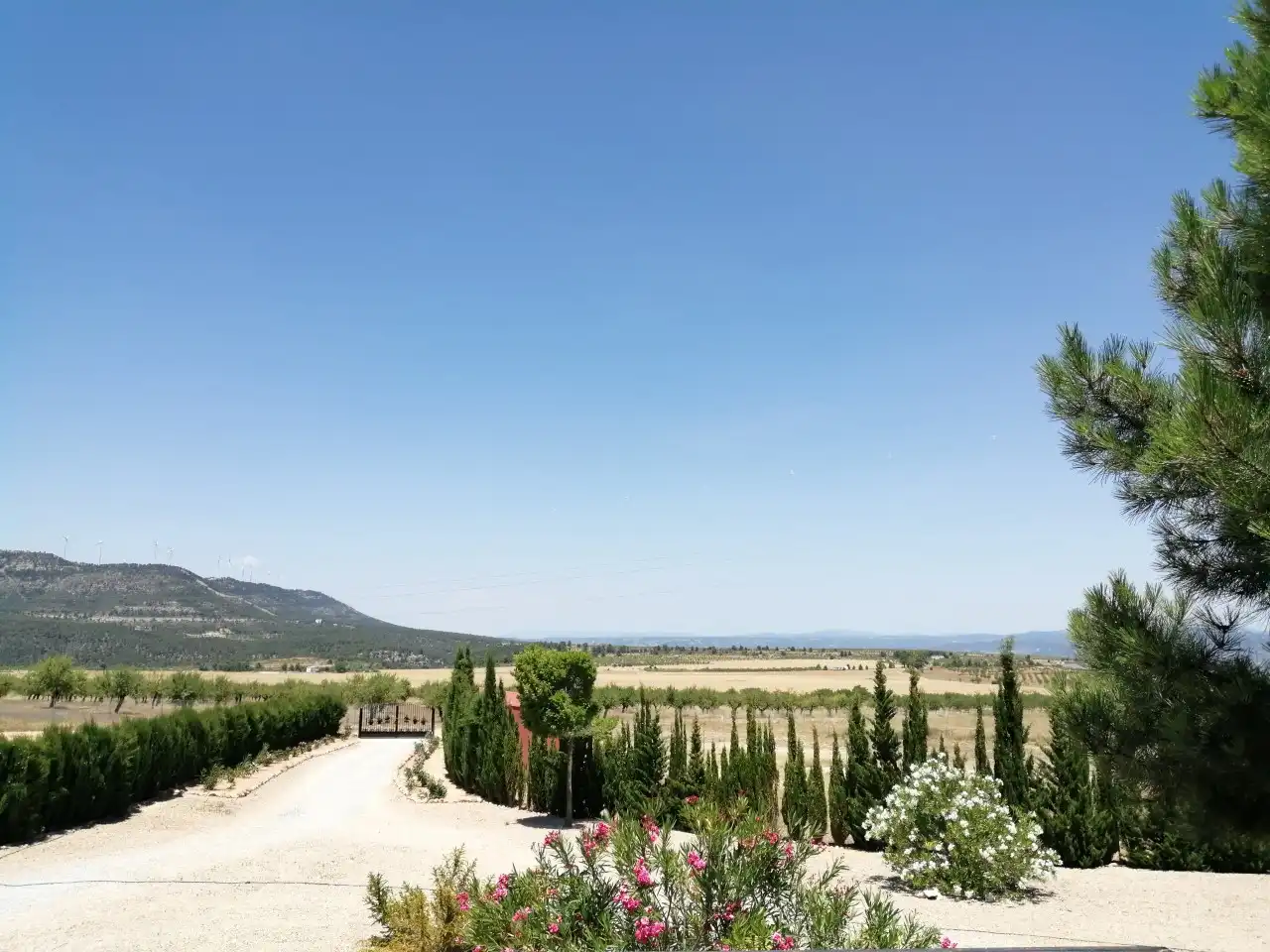 Jardín de Finca rústica en venta en Jarafuel con Calefacción, Jardín privado y Amueblado