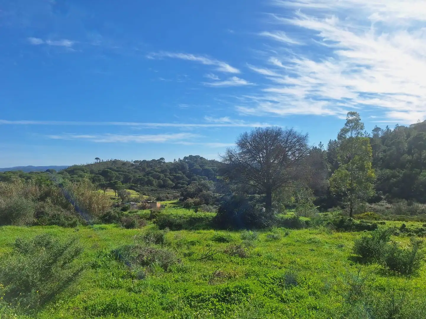 Grundstücke zum Verkauf in El Campillo (Huelva)