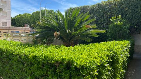 Foto 2 de Apartamento de alquiler en Playa de Gandia, Gandia