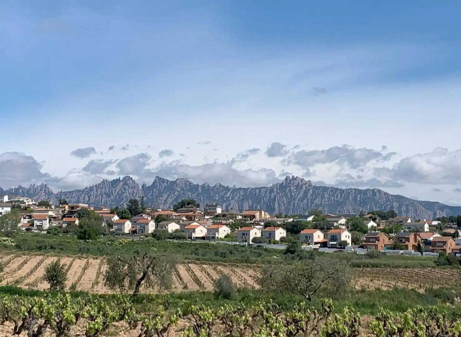 Terreno rustico in vendita a Piera, imagen 4