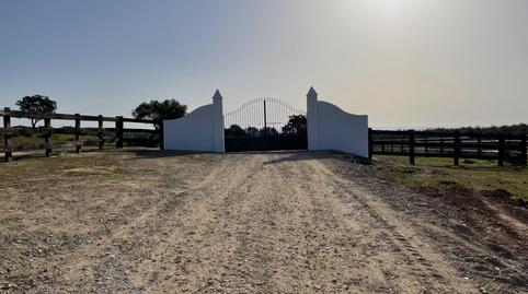 Foto 4 de Finca rústica en venda a Paterna del Campo, Huelva