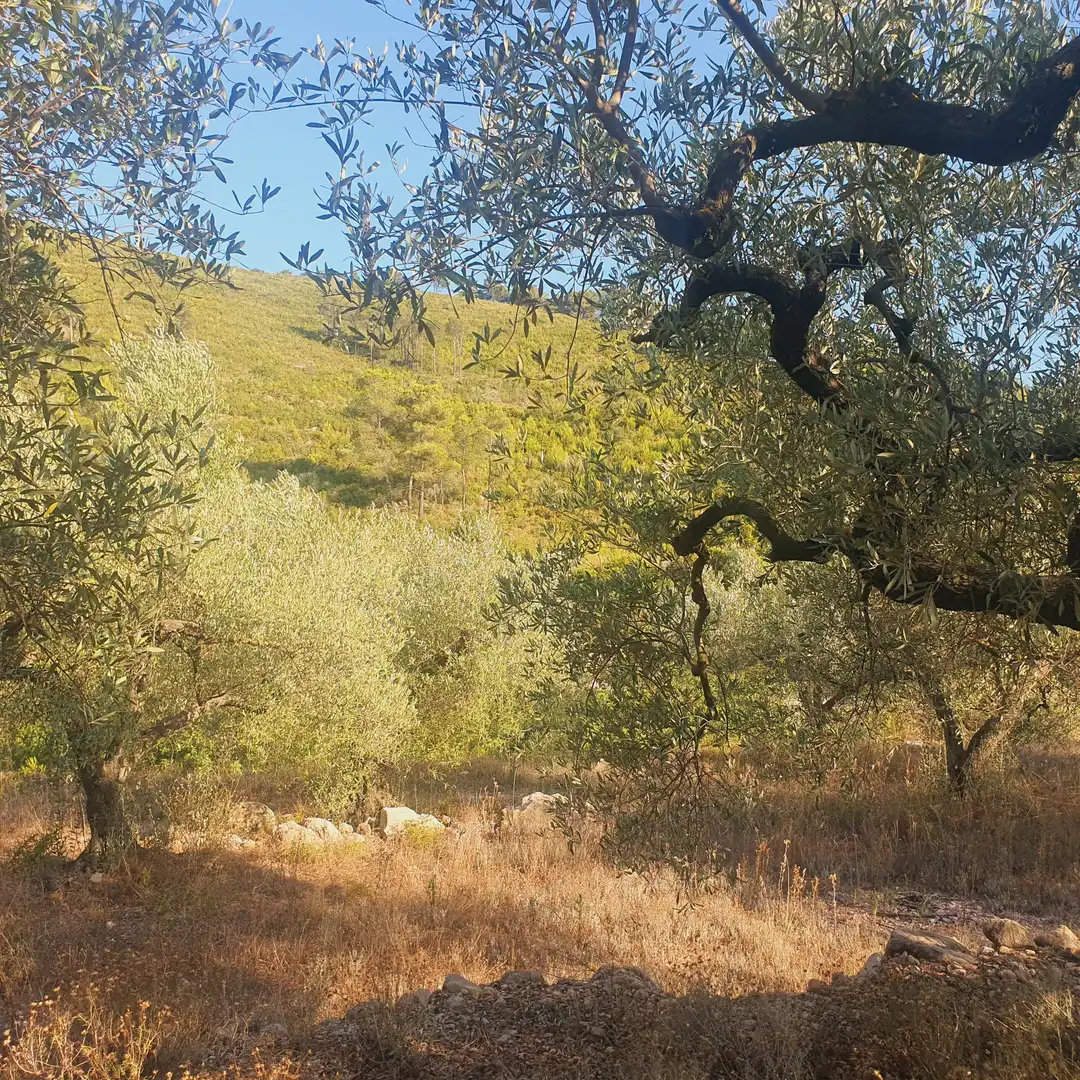 Terrain rustique à vendre à Rasquera, imagen 19