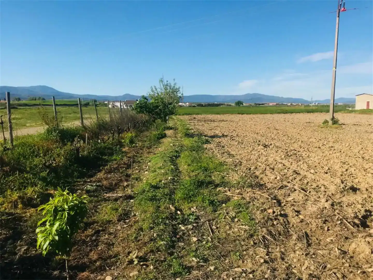 Land for sale in Moraleja