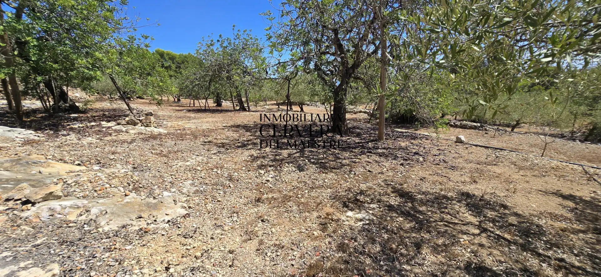 Rural land for sale in Vía Po Polígono 17 60, imagen 32