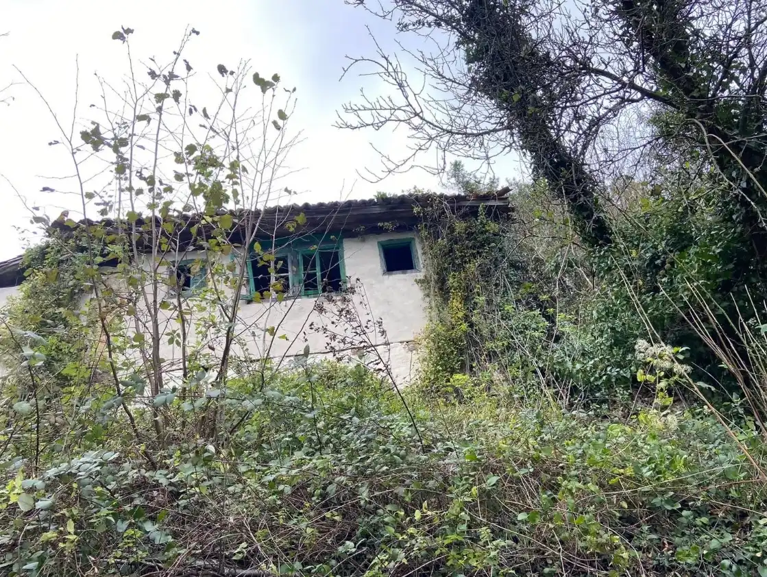 Exterior view of Country homes for sale in Yernes y Tameza