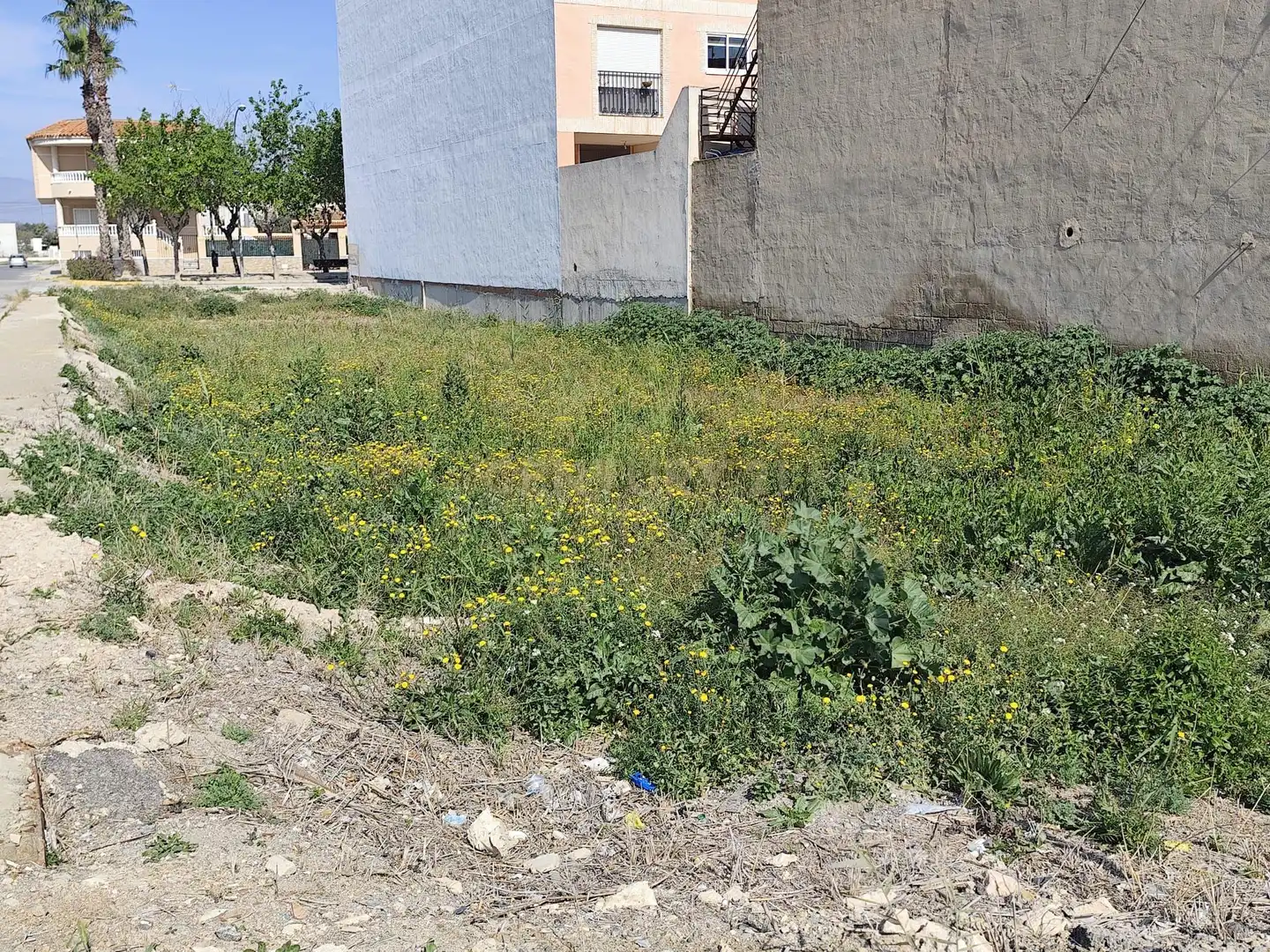 Terreno residencial en venta en Calle Miguel Delibes, 2, Dolores, Spain, imagen 6