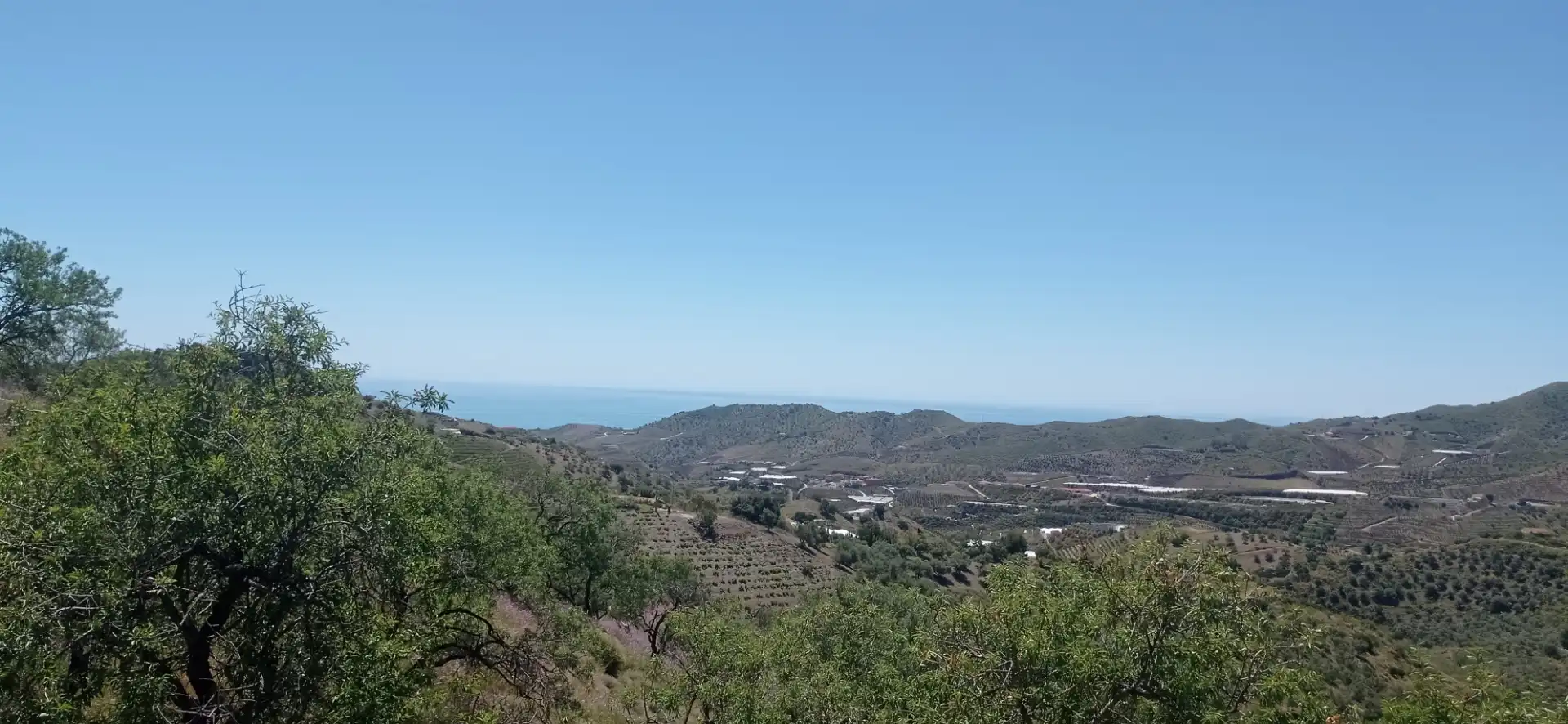 Vista exterior de Terreny en venda en Iznate