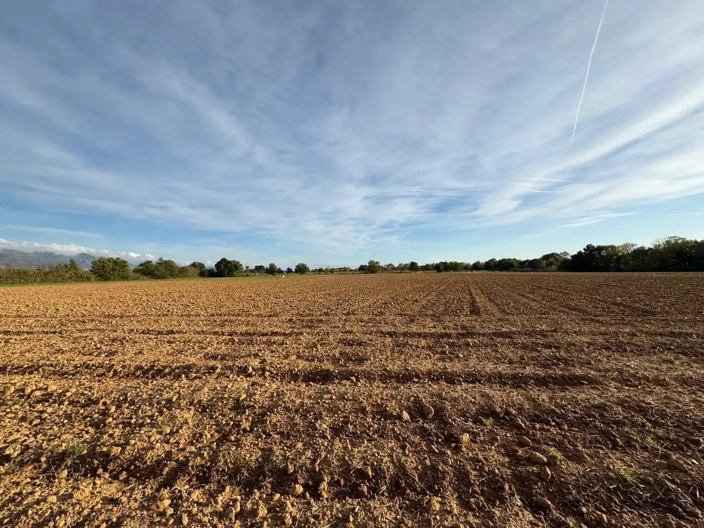Rural land for sale in Garriguella, imagen 7