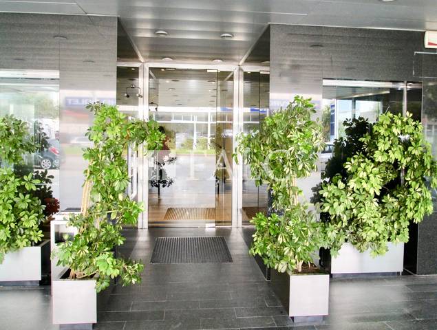 Oficina en Venta en Sa Indioteria Urbà