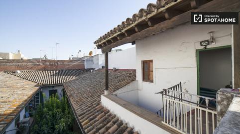 Photo 3 of Flat to share in San Gil, Sevilla