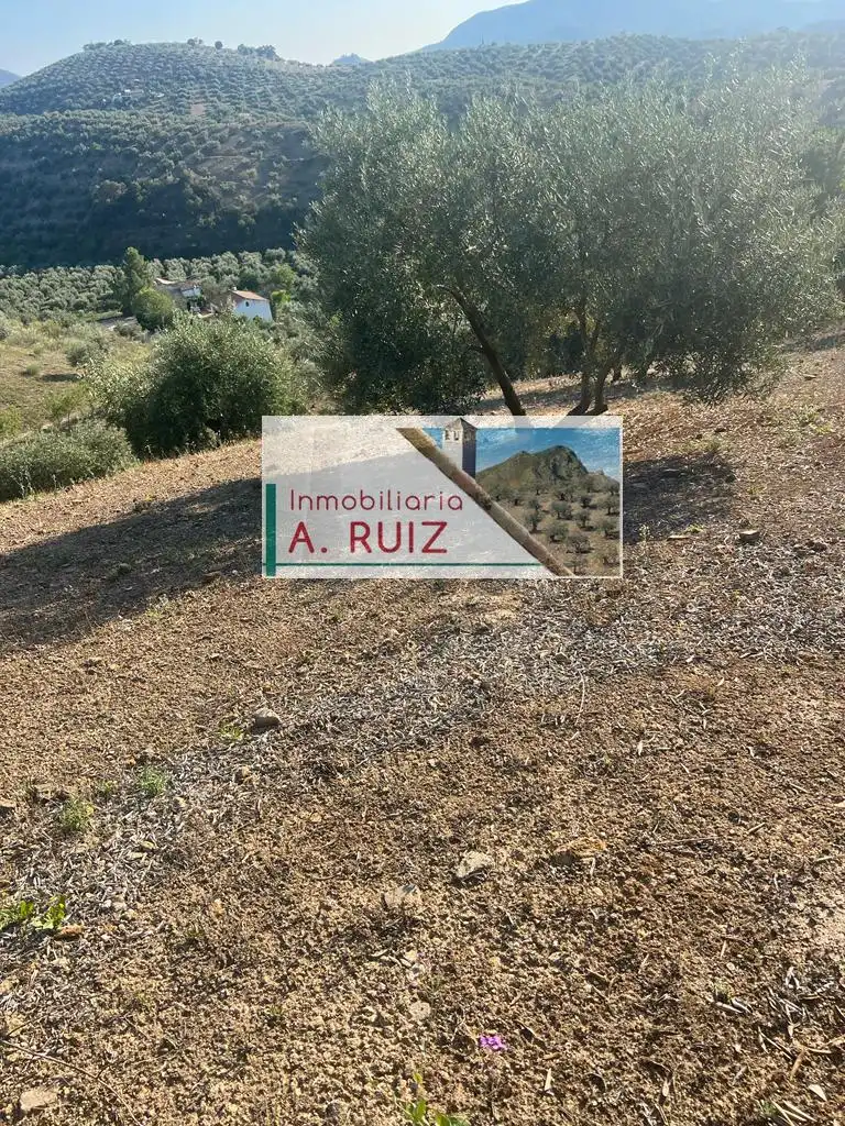 Terreny rústic en venda a Priego de Córdoba, imagen 6