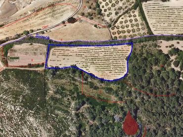 Terreni e lotti in vendita a CAMI TORRETA