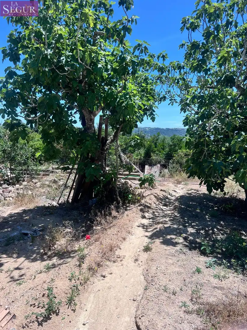 Casa o xalet en venda en Vejer de la Frontera amb Jardí privat