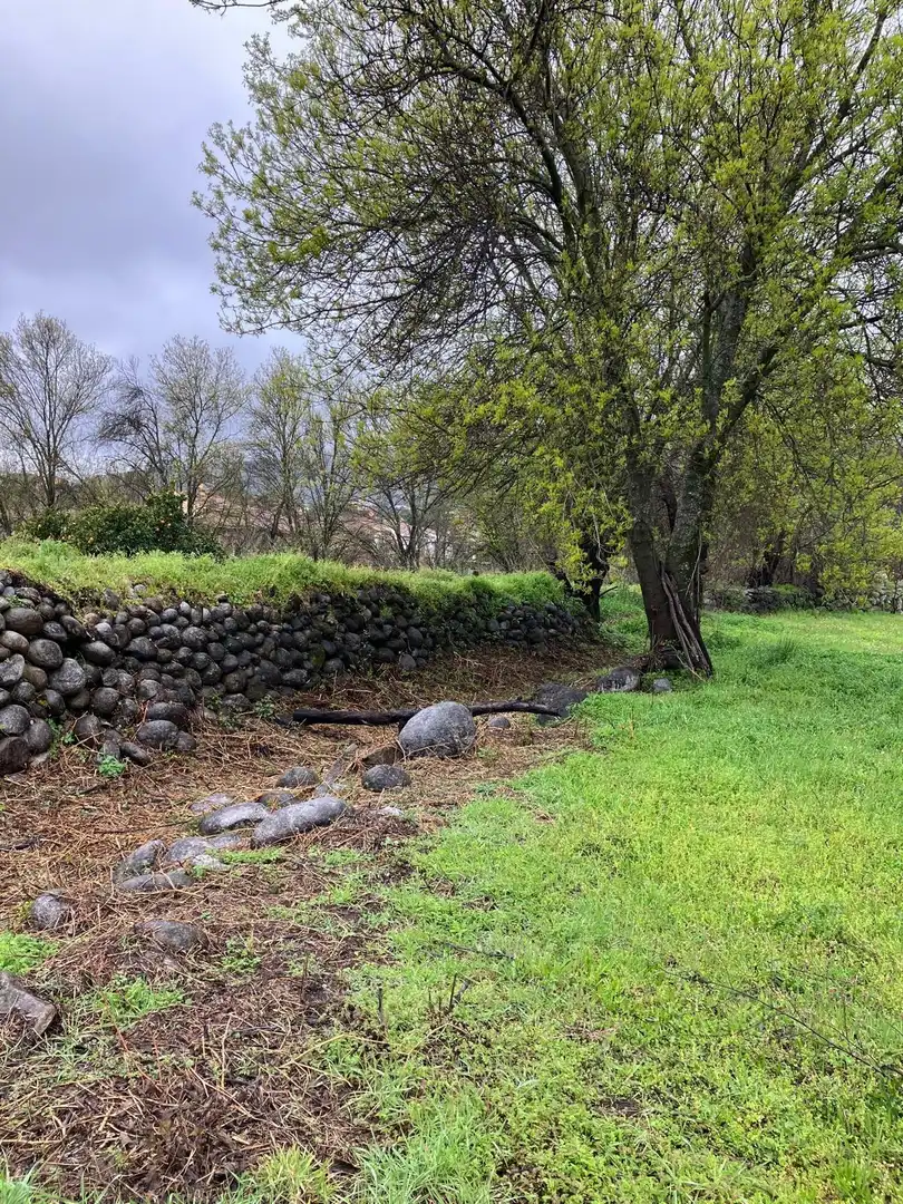 Terreni e lotti in vendita a CAÑADA, imagen 8
