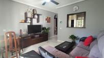 Living room of Apartment for sale in Chiclana de la Frontera  with Private garden and Parquet flooring