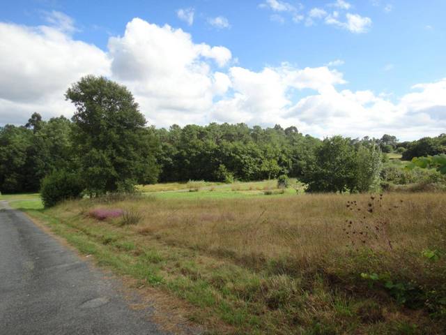 Terreno residencial en Venta en Brión