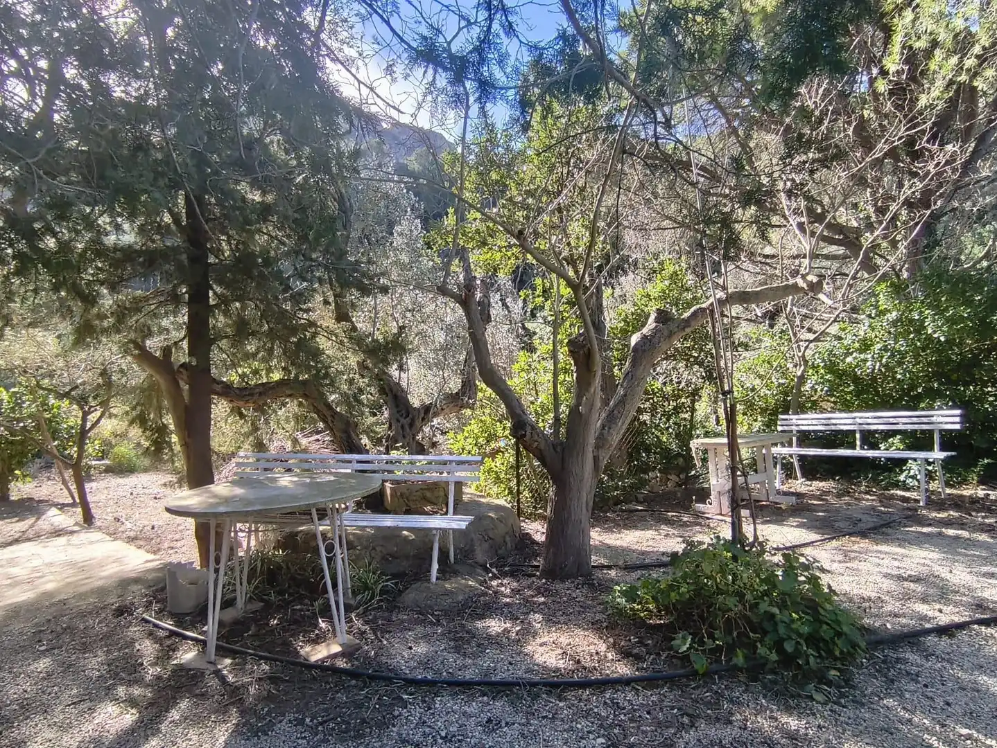 Casa con jardín en venta en Alfara de Carles, imagen 26