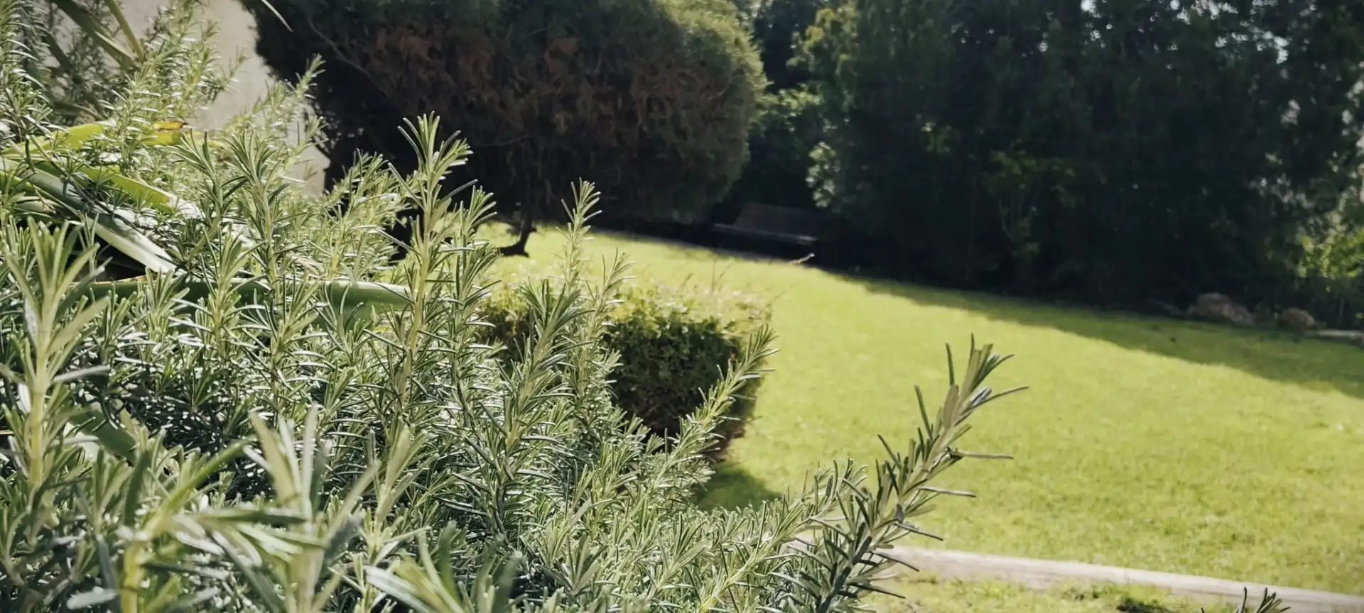 Jardí de Pis en venda en La Palma de Cervelló amb Aire condicionat, Calefacció i Terrassa