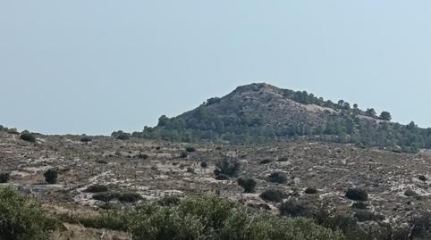 Foto 2 de Residencial en venda a Moralet, Alicante / Alacant