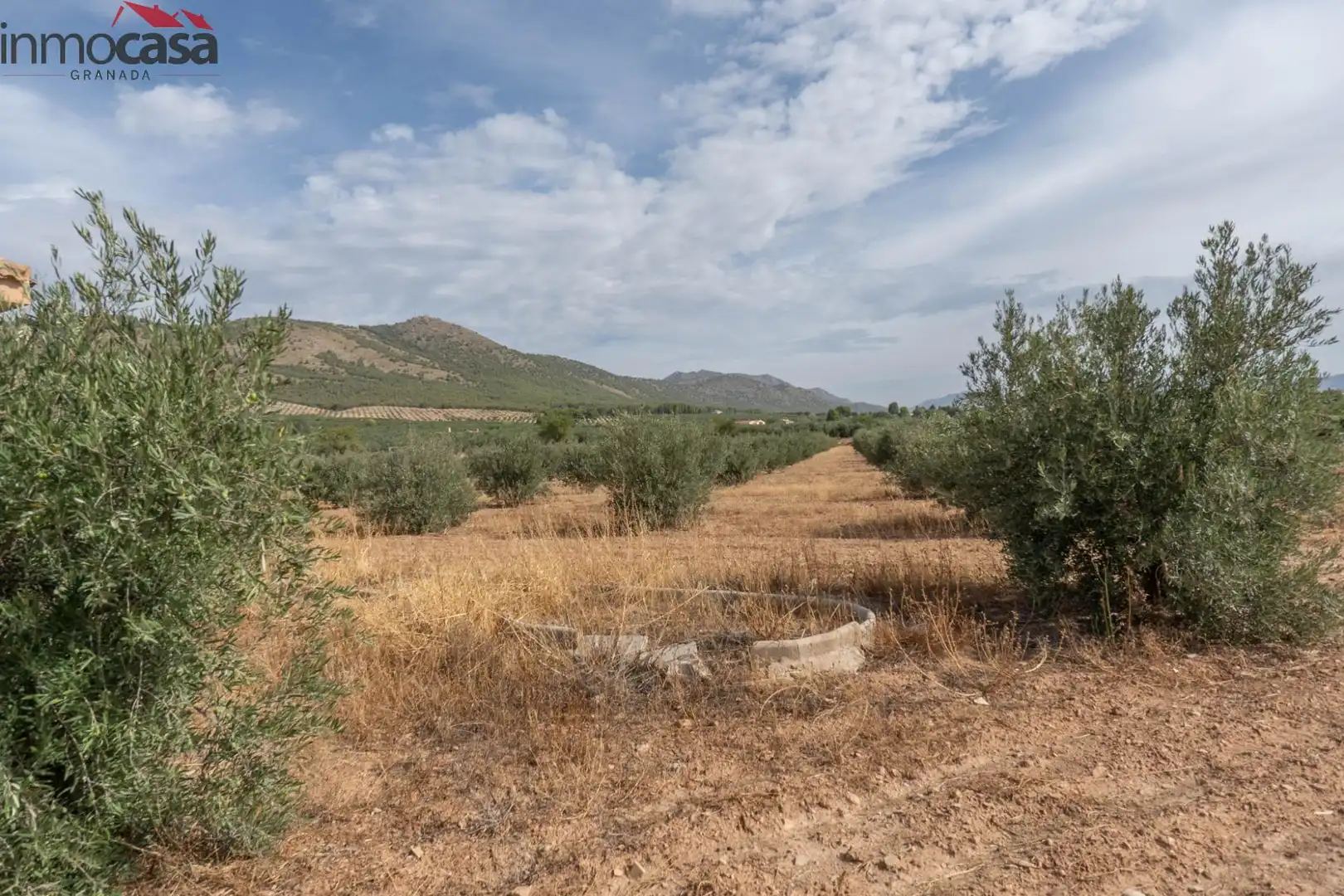 Casa o chalet en venta en Huéscar
