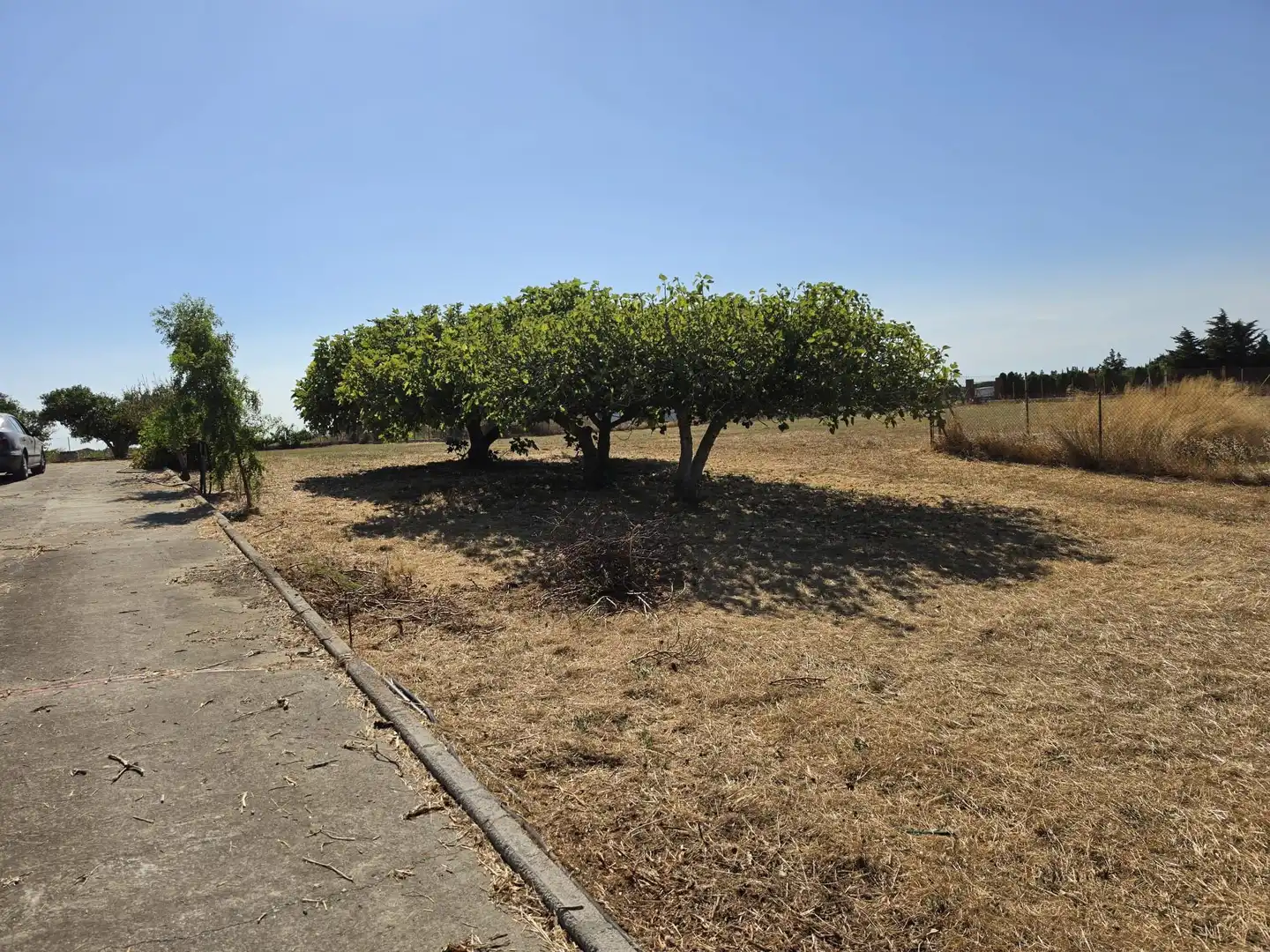 Rural land for sale in Calle Verea de la tarde, imagen 17