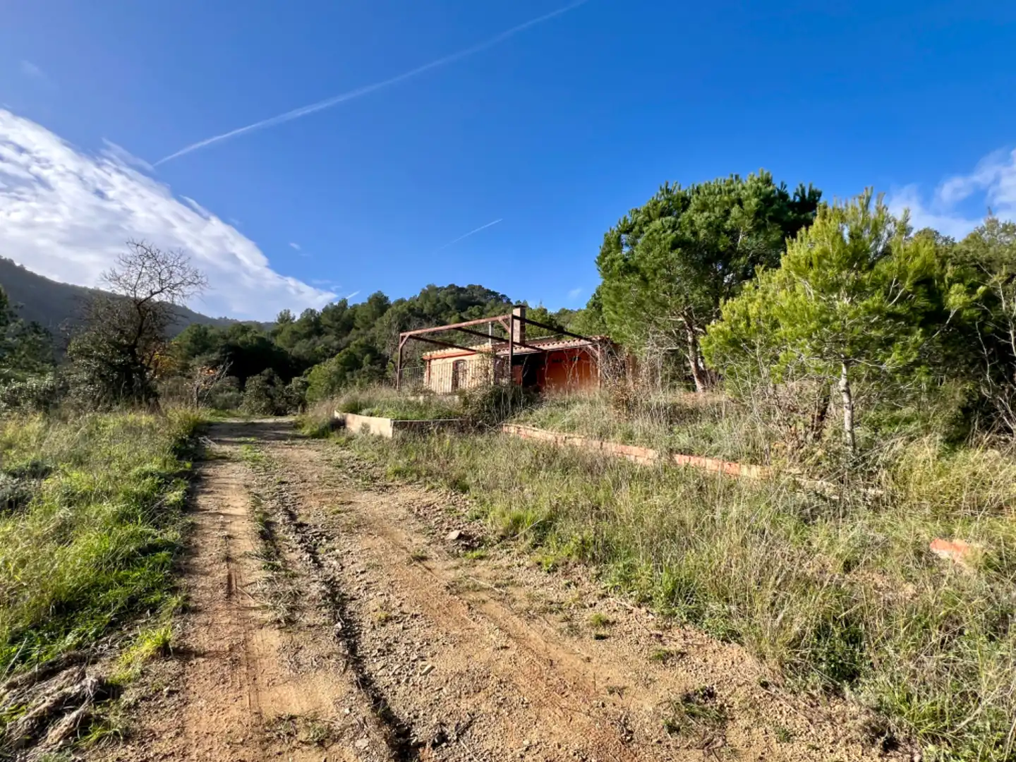 Terrain rustique à vendre à Riudecols, imagen 14