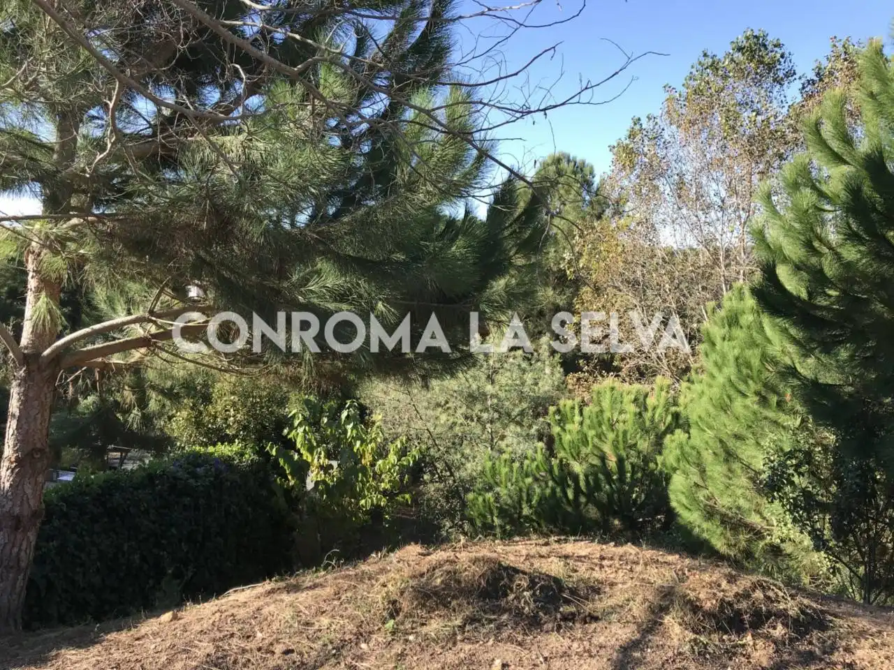 Terreny residencial en venda a Lloret Residencial - Montlloret, imagen 2