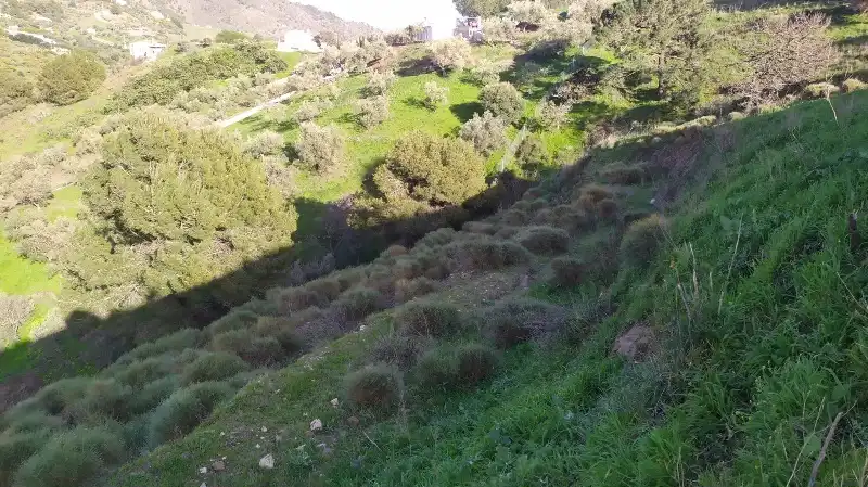 Land for sale in Frigiliana