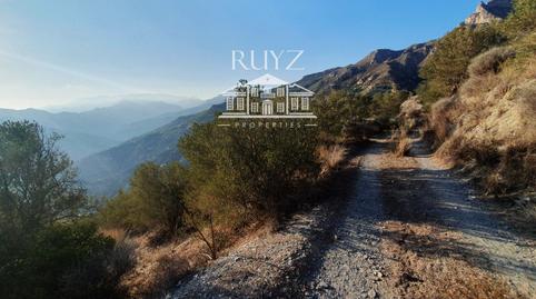 Foto 4 de Residencial en venda a N/a, -1, Jete, Granada