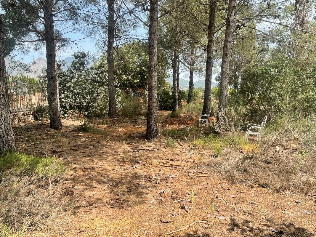 House or chalet for sale in Diseminado Marchuquera, 139, Palma de Gandia