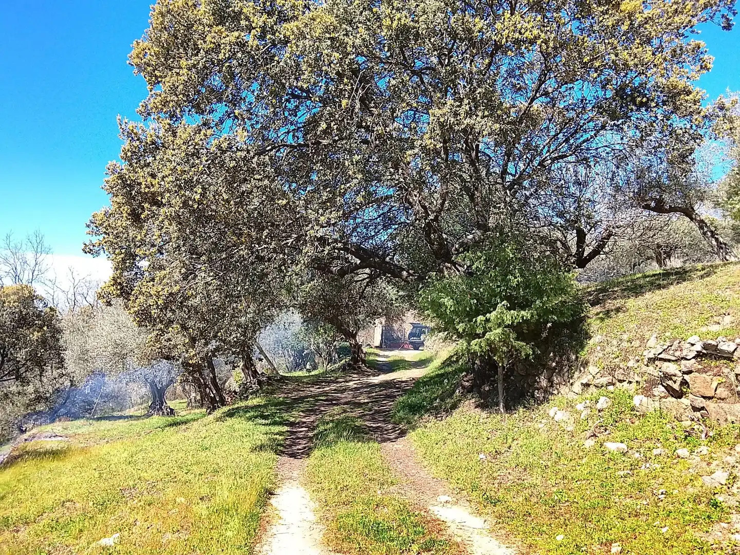 Terreni e lotti in vendita a Candeleda, imagen 31