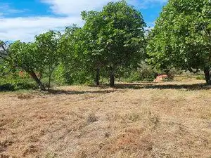 Terreni e lotti in vendita a Jarandilla de la Vera