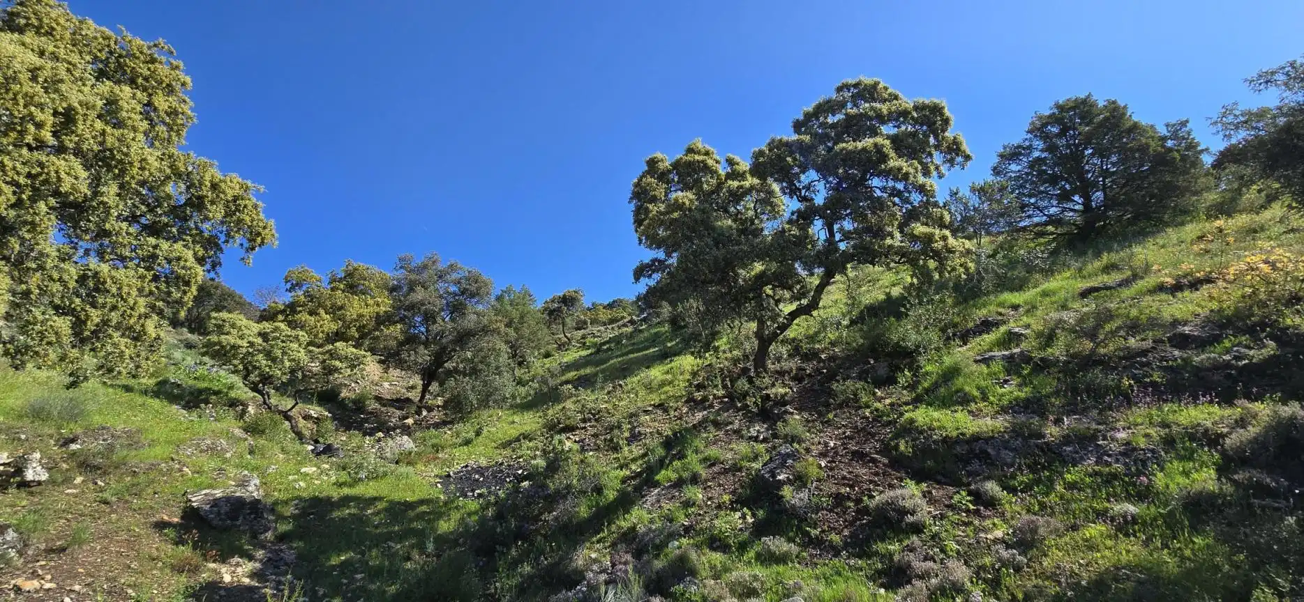 Terrenys i solars en venda a San Agustín del Guadalix pueblo, imagen 9