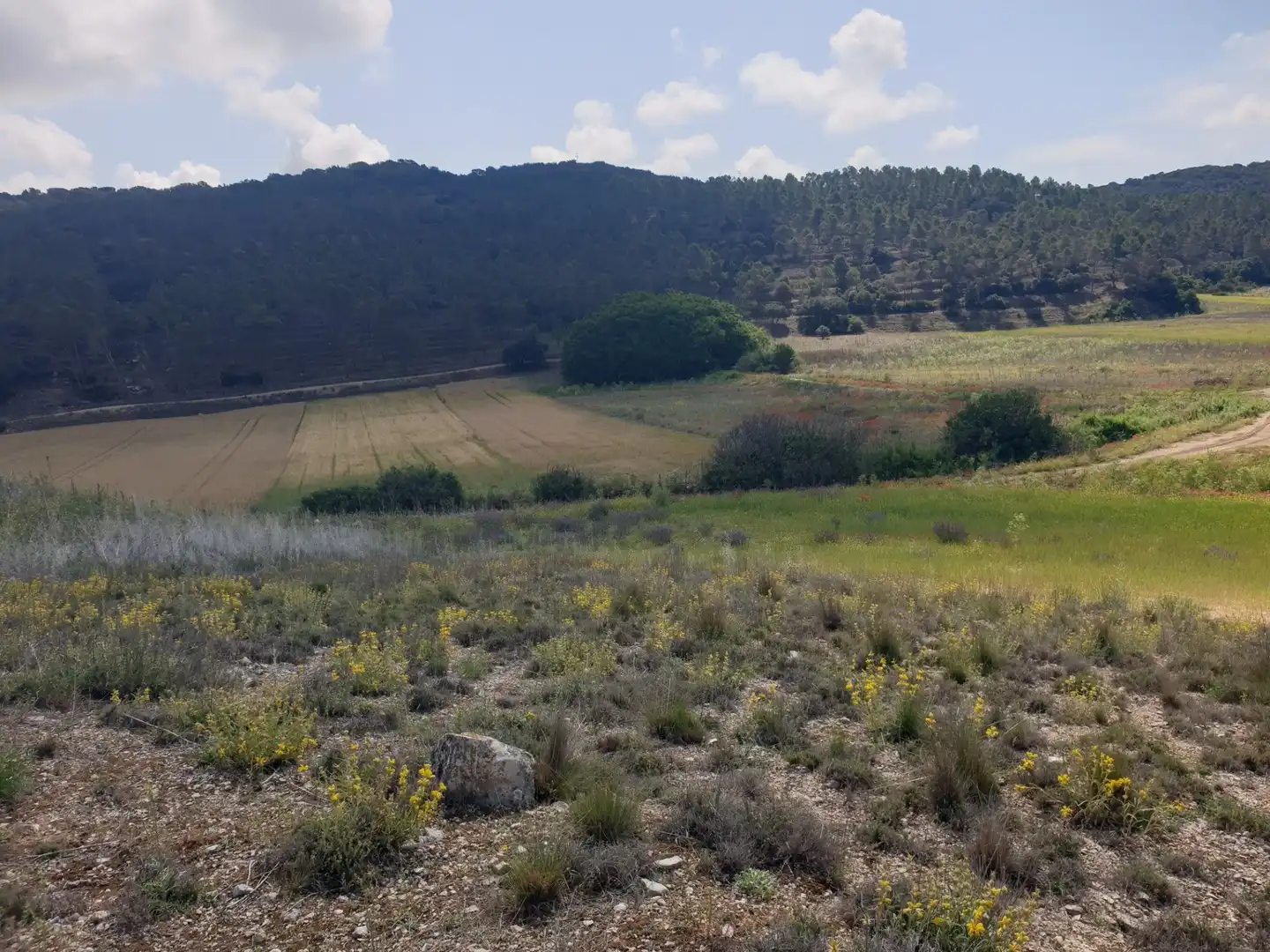 Residencial en venta en Valdelaguna