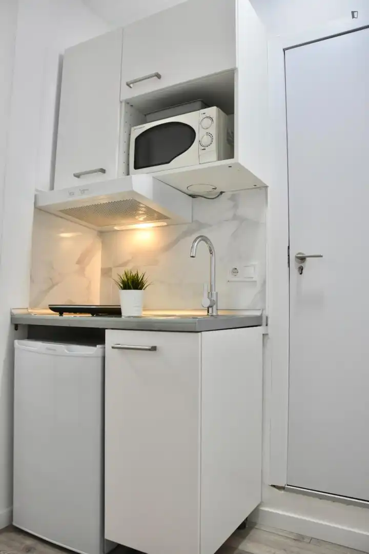 Studio mit Aufzug zur Miete in Chamberí, imagen 4