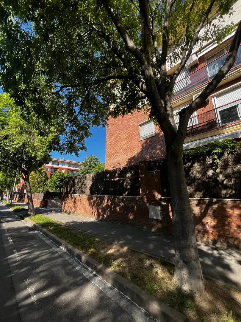 Vista exterior de Planta baixa en venda en Sant Cugat del Vallès amb Aire condicionat, Calefacció i Jardí privat