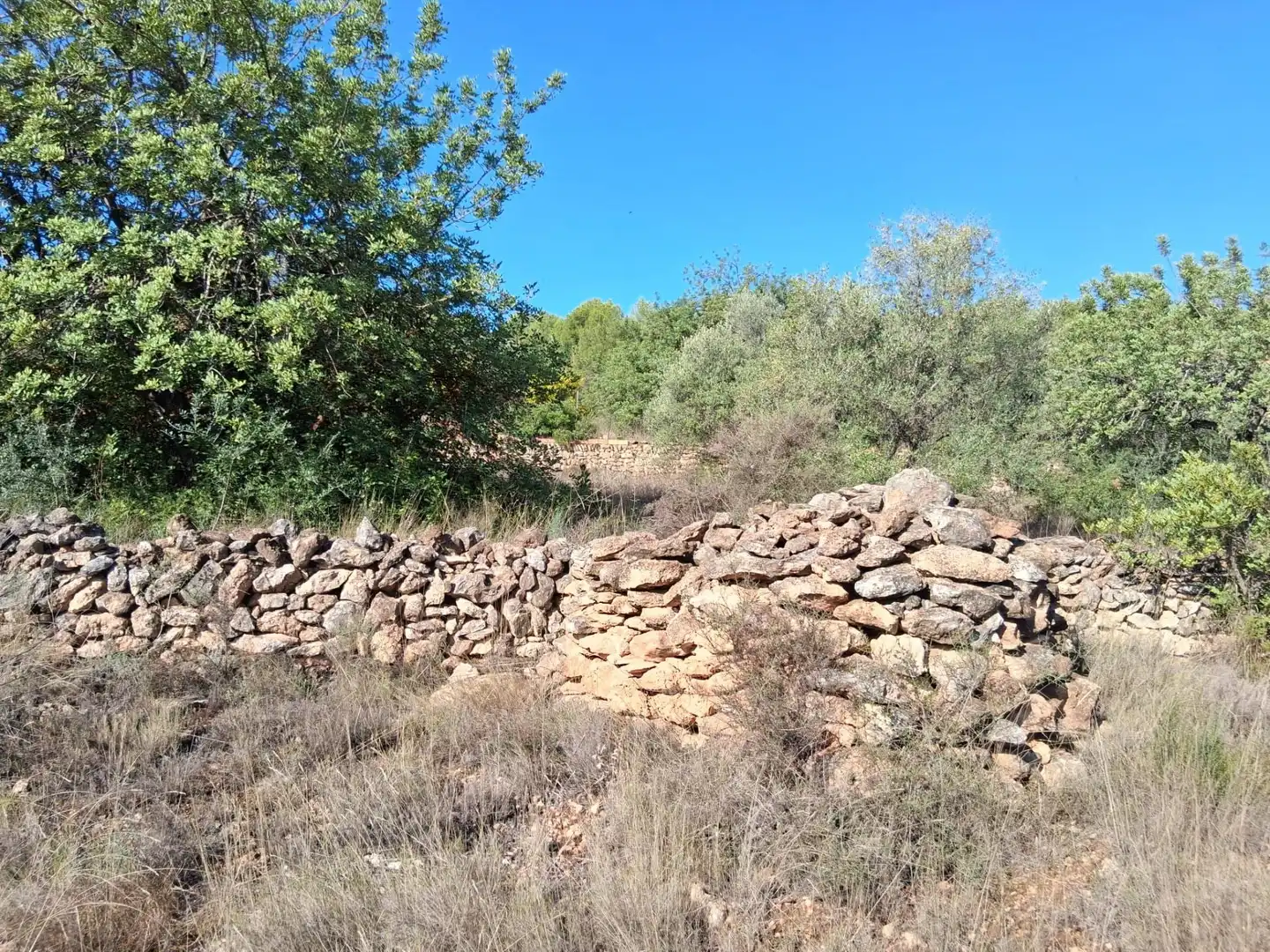 Wohnbaugrundstück zum Verkauf in L'Alcora, imagen 7