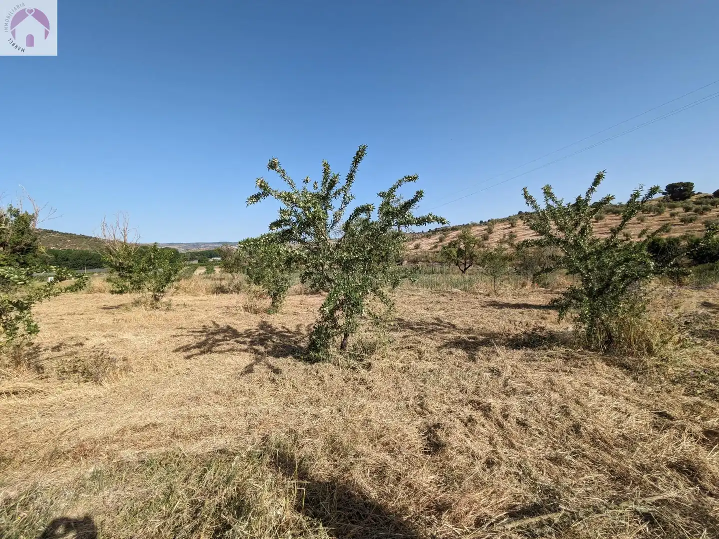 Residential land for sale in EXTRARRADIO, imagen 8