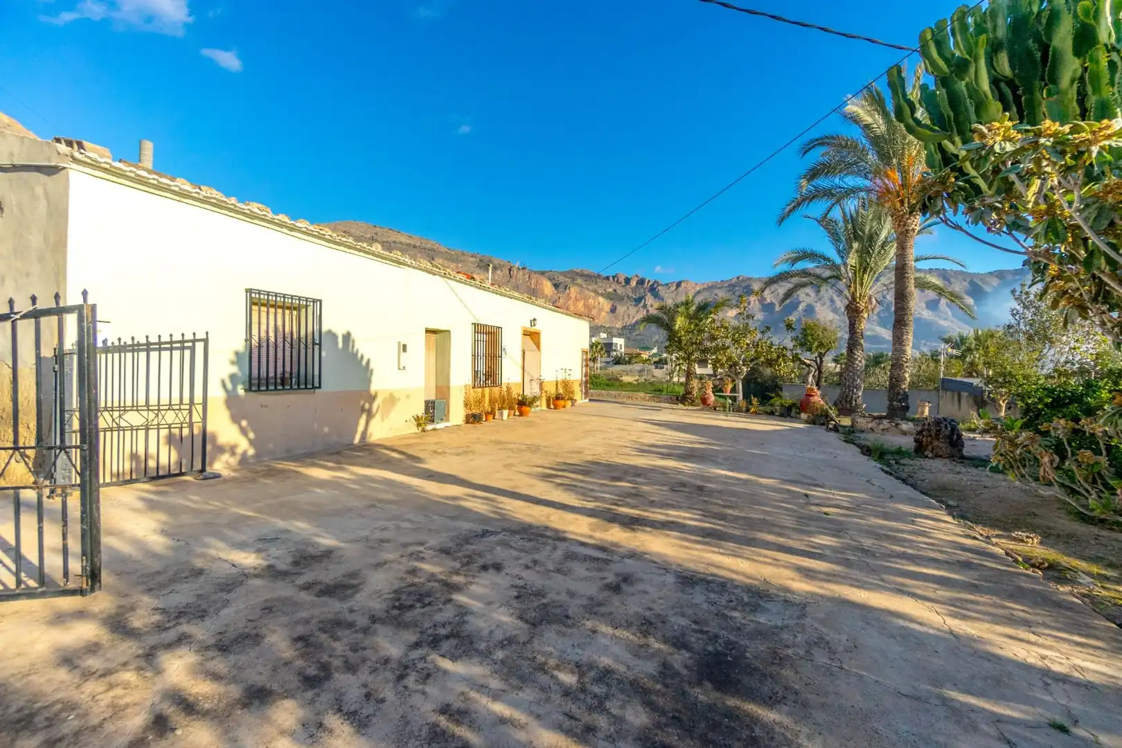 Vista exterior de Finca rústica en venta en Orihuela