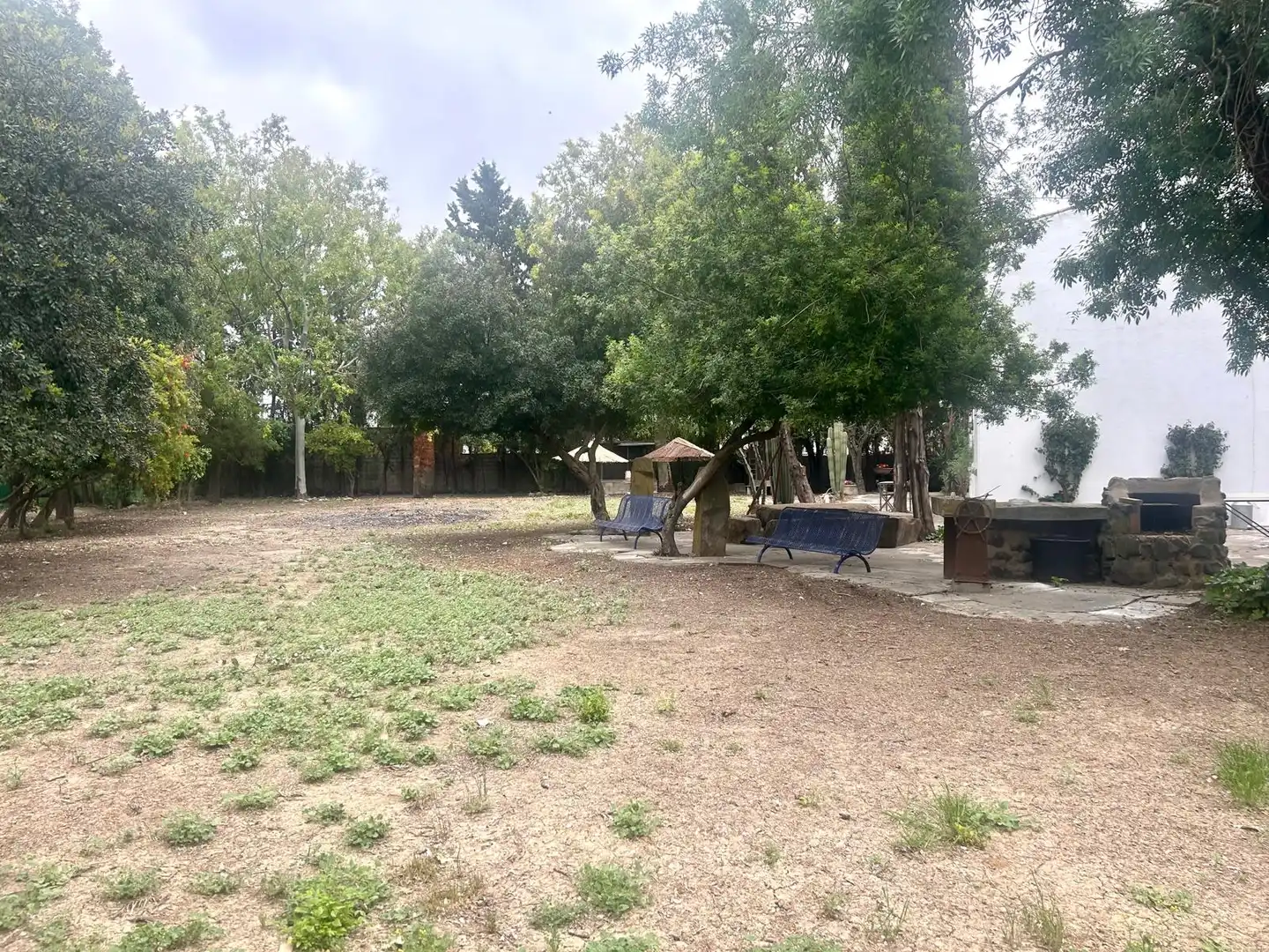 Country homes for sale in Caballero Bonald - San José Obrero - Guadalcacín