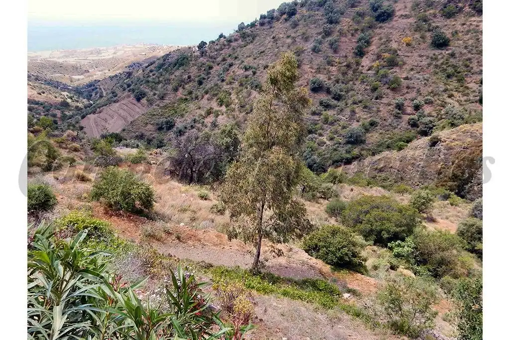 Terreny rústic en venda a Sayalonga, imagen 6