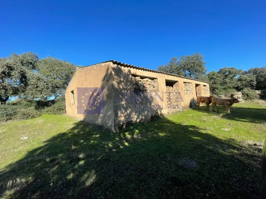 Casa en venda a Miajadas, imagen 15