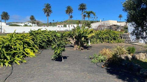 Foto 5 de Casa o chalet en venta en Haría pueblo, Haría