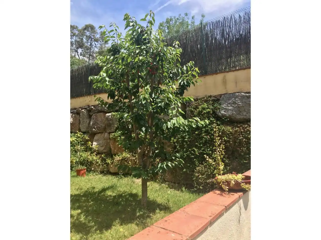 House with pool for sale in Vallromanes, imagen 62