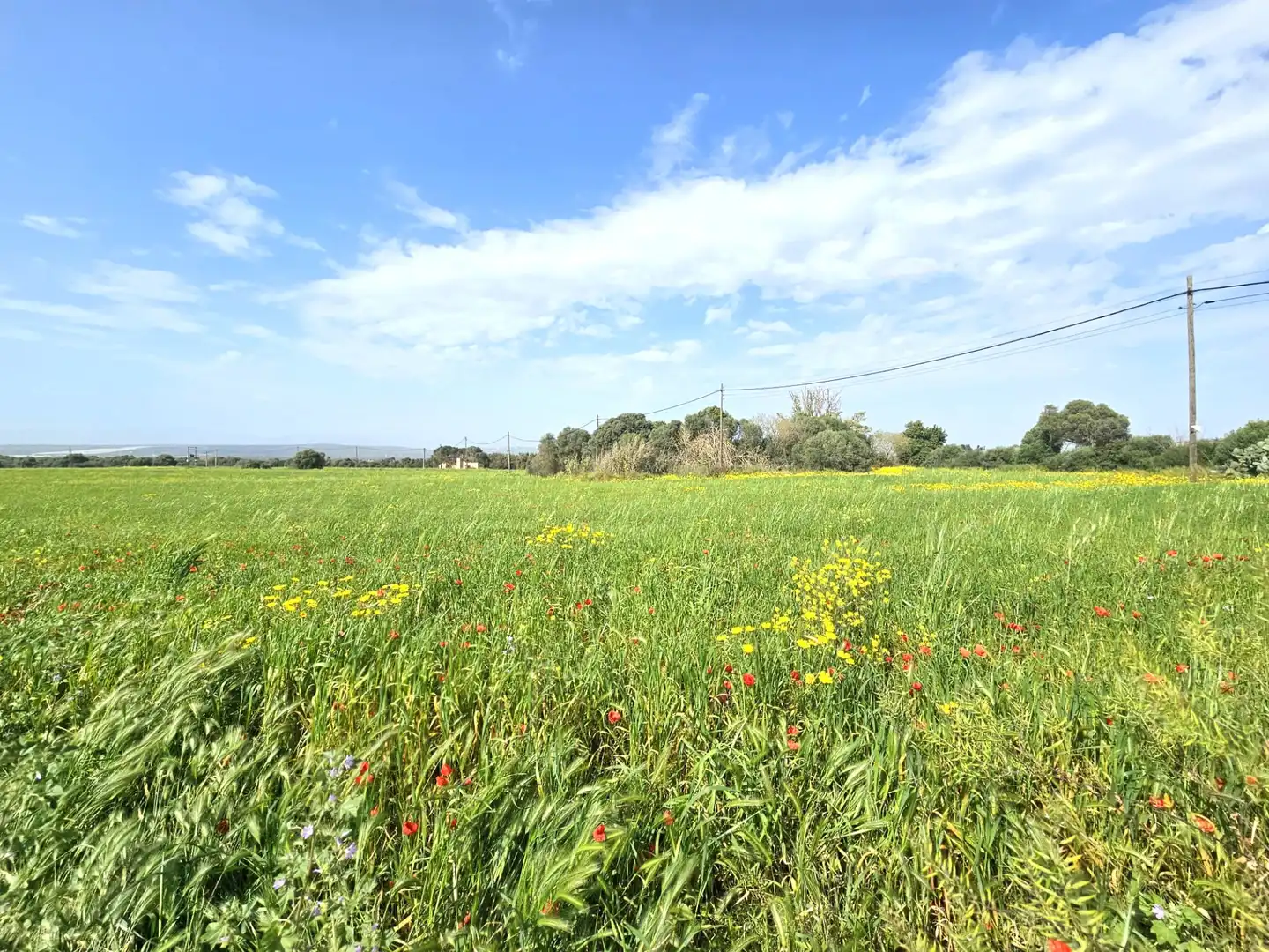 Land for sale in  Palma de Mallorca