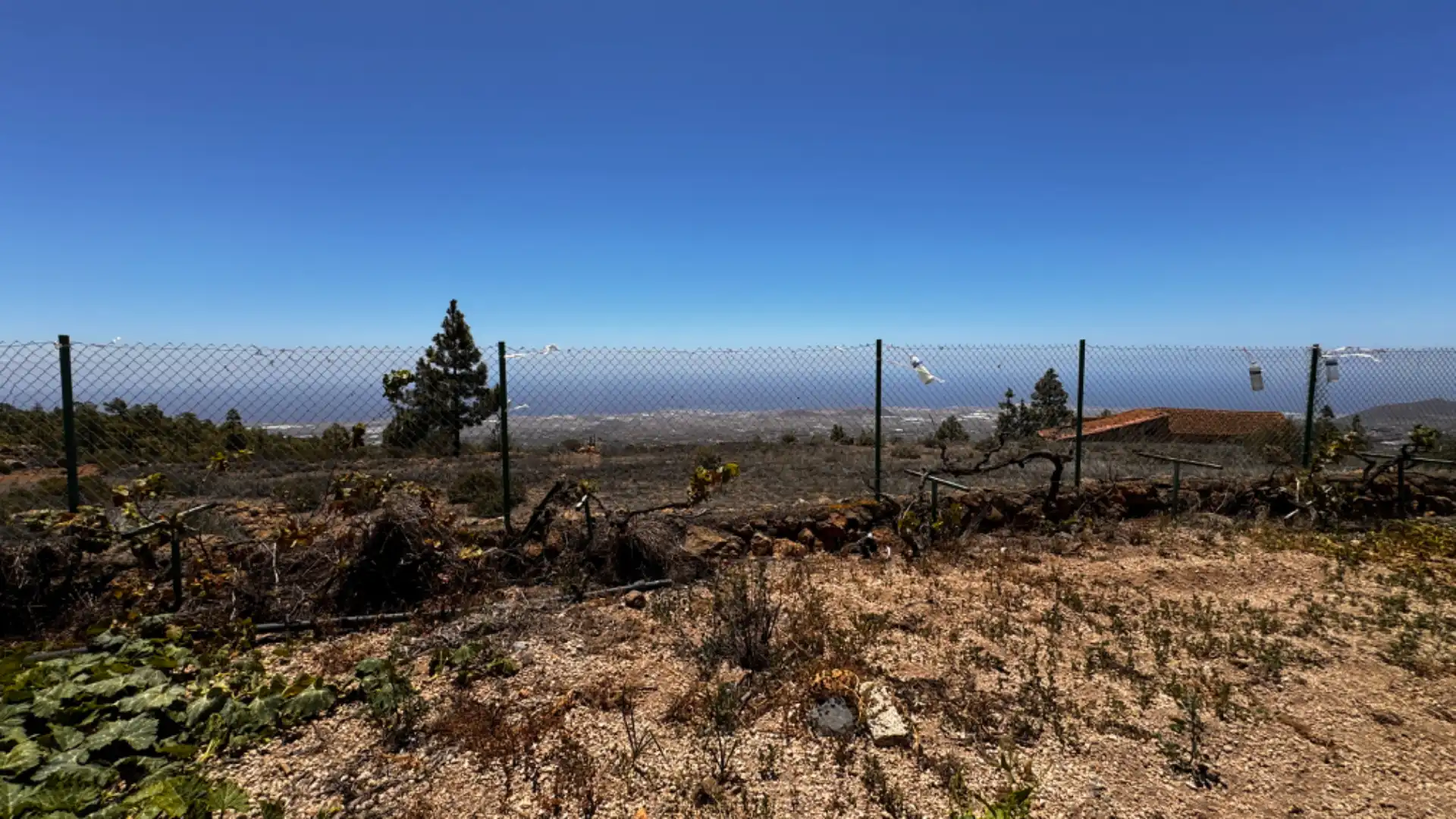 Finca rústica en venta en Granadilla de Abona con Calefacción, Jardín privado y Parquet