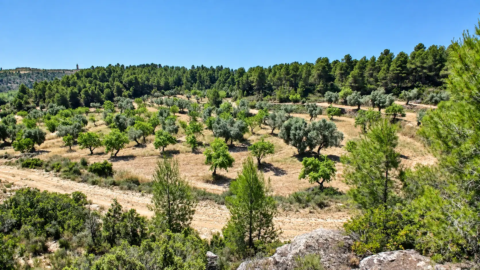 Terreno rustico in vendita a N/A